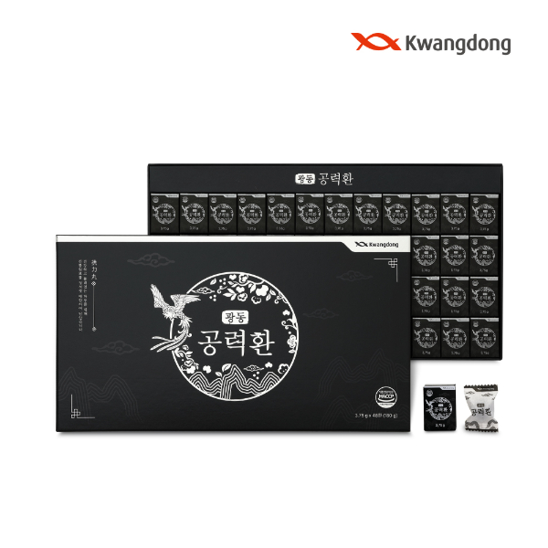 [광동] 공력환(48환)